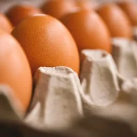 Avicultores exportan unidades de huevos a cuba ante crisis con Haití