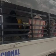 Apresan conductor que transportaba 17 indocumentados haitianos en Santiago