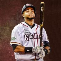 Nelson Cruz