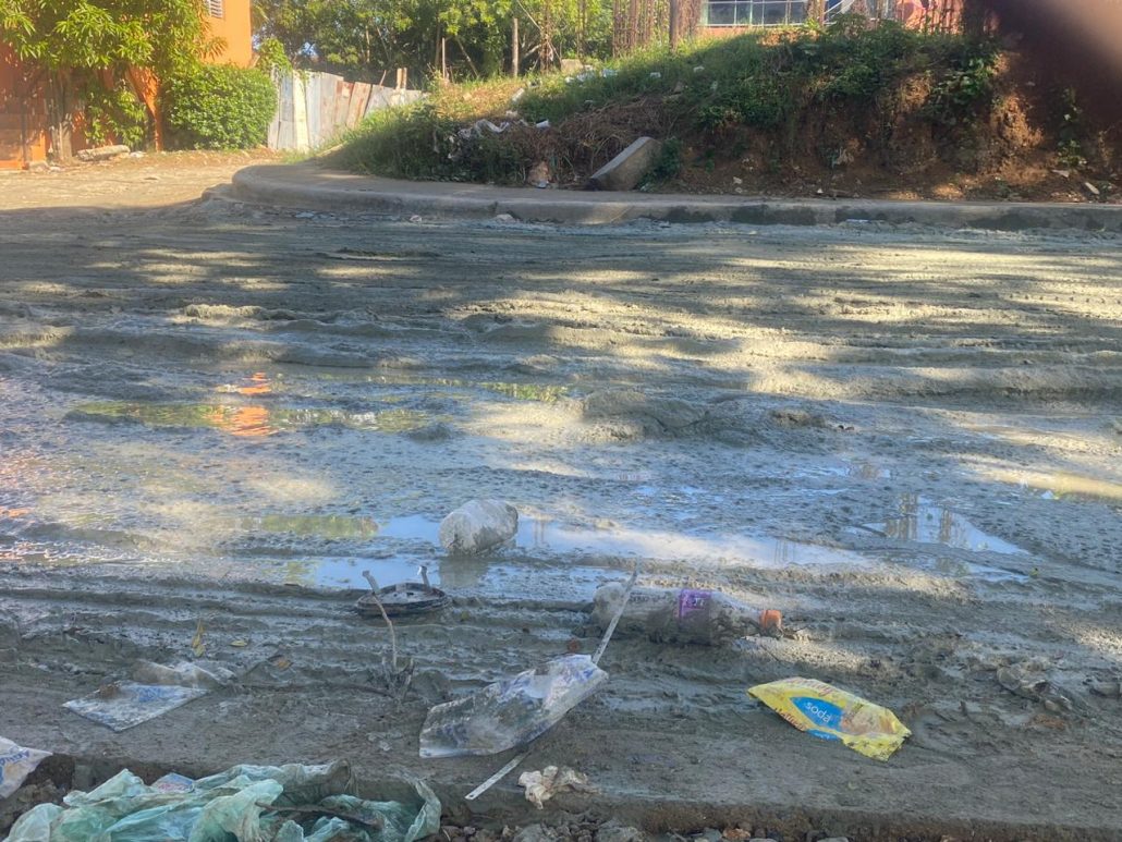 Comunitarios piden intervención MOPC por el mal estado de las calles en Manoguayabo SDO