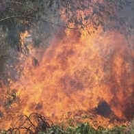 Bolivia informa de siete incendios forestales, dos dentro de sus reservas naturales