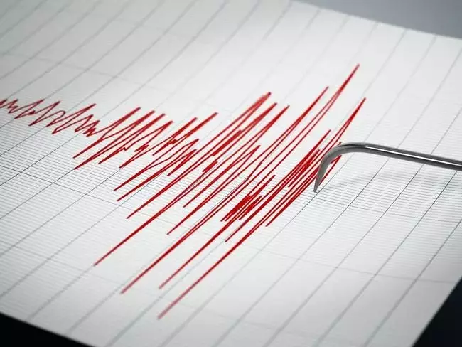 Se registra temblor de tierra aproximadamente de 4.6