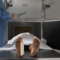Bolivia registra 35 feminicidios en lo que va de año, cuatro ocurridos en la última semana