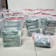 Ocupan 56 paquetes de presunta cocaína ocultas en carga de cocos en el AILA