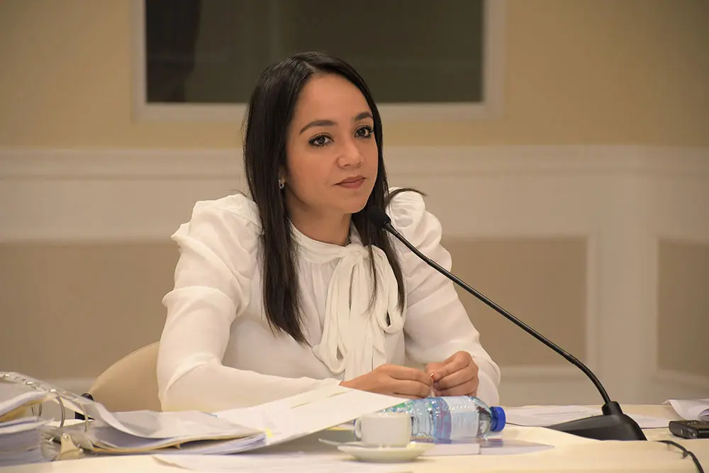 Faride Raful tomará acciones legales por campaña "Sucia" en su contra