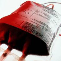 Día Mundial del Cáncer de Sangre: una lucha por la vida y la esperanza
