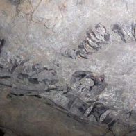 Descubren en Cuba esqueleto de saurio marino de entre 130 y 145 millones de años