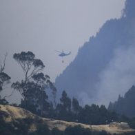 Autoridades ambientales de Colombia afirman son 17 los incendios activos