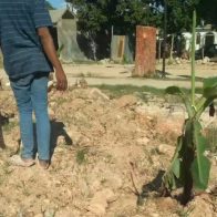 Reportan mal estado de calles en el sector Brisas del Este