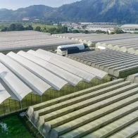 Entregan cheques a productores de invernaderos afectados por lluvias