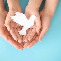 30 Día Escolar de la No Violencia y la Paz