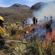 Bomberos controlan incendio en reserva de Ecuador con unas 800 hectáreas quemadas