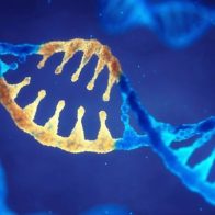 Hallan 103 genes alterados que causan enfermedades hereditarias