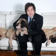 Milei celebra que sus perros se reunirán pronto con él en la residencia presidencial