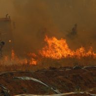 Aumenta a 112 el número de fallecidos en incendios en Chile
