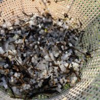 La UE pacta prohibir y multar vertidos de aguas residuales y basura de los barcos al mar
