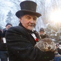La famosa marmota estadounidense Phil pronostica una primavera temprana