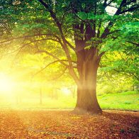 Se esperan temperaturas calurosas y cielo soleado