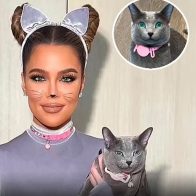 ¡Ni el gato se salva! Acusan a Khloe Kardashian de hacer Photoshop a las fotos de su gato