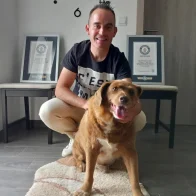 Retiran récord del perro más viejo del mundo al luso Bobi por falta de pruebas de su edad