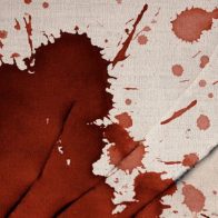 Uno de los acusados por muerte de Paula olvidó prenda de vestir con sangre en el transporte