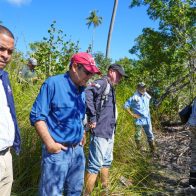 Medio Ambiente: en el manglar de El Estillero, Samaná, se afectaron 223 tareas