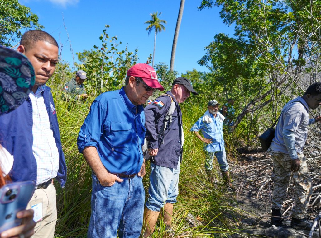 Medio Ambiente: en el manglar de El Estillero, Samaná, se afectaron 223 tareas