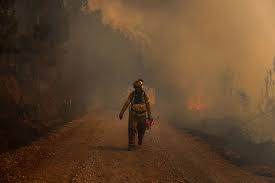 Dos personas detenidas por estar "involucrados" en incendios de Chile
