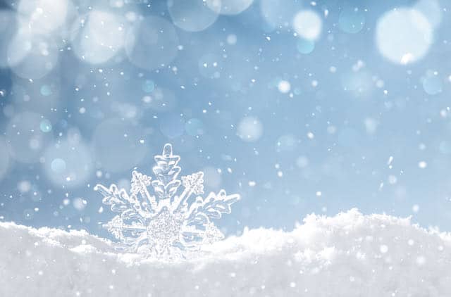 Nueva York se alista para tormenta que puede dejar hasta 20 centímetros de nieve el martes
