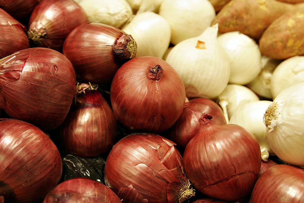 Productores de cebolla protestan por el pago de más de 200 millones