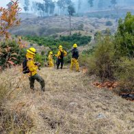 Bomberos forestales combaten incendios en diversos puntos del país