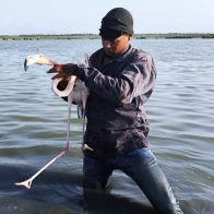 Guardaparques de Medio Ambiente mantienen vigilancia permanente en los estuarios de Estero Balsa