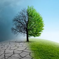 Día Mundial del clima