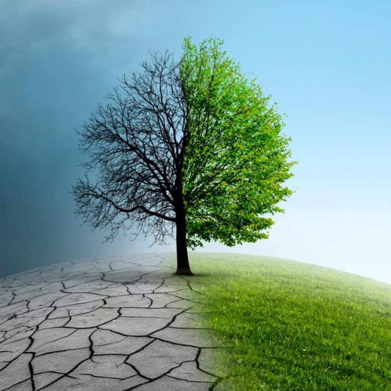 Día Mundial del clima