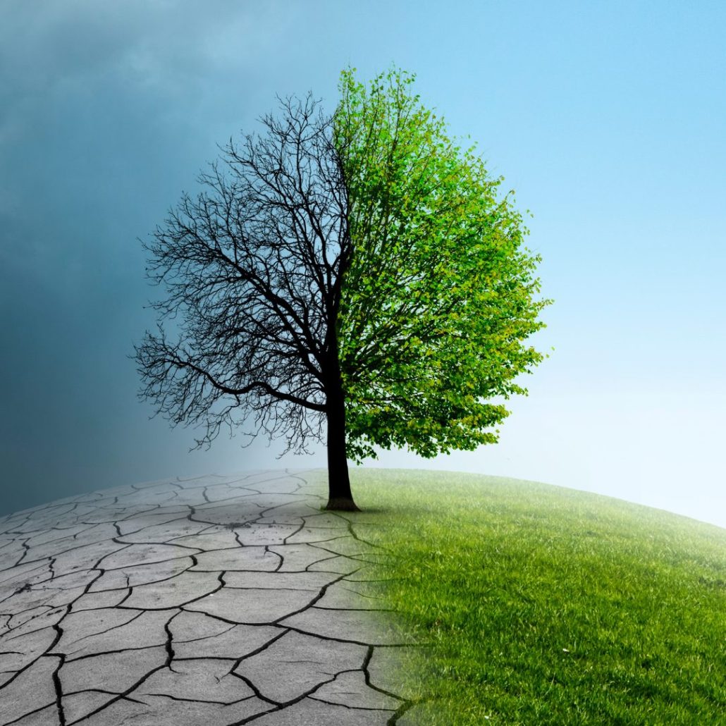 Día Mundial del clima