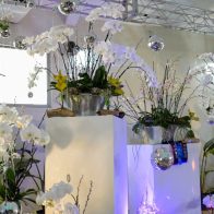 Dos de hombres ganan primer lugar en festival “Rincón de las Orquídeas” del Jardín Botánico