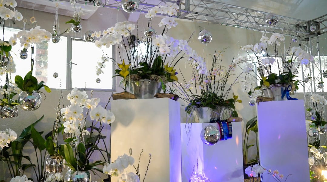 Dos de hombres ganan primer lugar en festival “Rincón de las Orquídeas” del Jardín Botánico