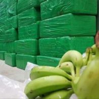 Decomisan 100 kilos de cocaína en cajas de banano en Ecuador