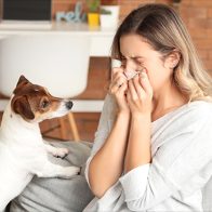 Los humanos transmiten más virus a los animales que al contrario