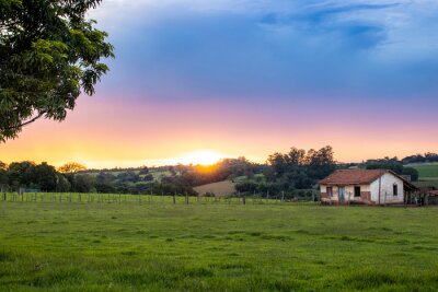 Prevalecerá un cielo con nubes dispersas en la mayoría de las provincias