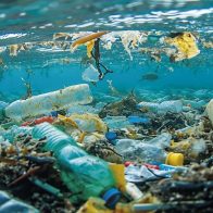 Hasta 11 millones de toneladas métricas de plástico cubren el fondo marino, según estudio