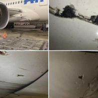 Capitán de aerolíneas en EEUU: "La transparencia es fundamental en todo sistema de seguridad operacional"