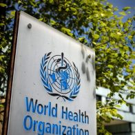 OMS recuerda que la salud es un derecho
