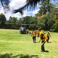 Bomberos forestales combaten incendio en Parque Nacional José del Carmen Ramírez