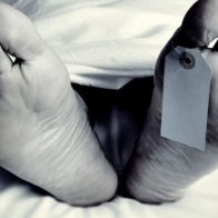 Cae abatido en La Vega delincuente haitiano conocido como "El Terror"