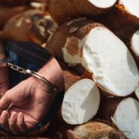 Apresan pareja por robo de un camión de yuca en Barahona