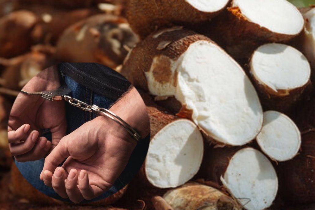 Apresan pareja por robo de un camión de yuca en Barahona