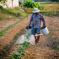 Día Nacional del agricultor