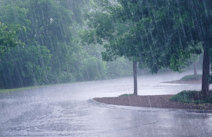 Tormenta tropical Dalila provoca lluvias torrenciales y fuerte oleaje en el Pacífico mexicano