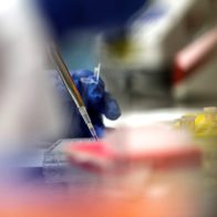Investigación biomédica abre nuevas vías de tratamiento contra la covid-19